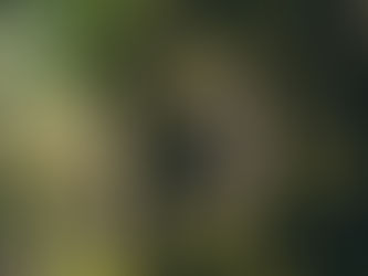 Exploring the Ancient Temples of Cambodia: Beyond Angkor Wat