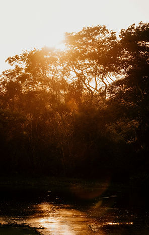Image by Agnieszka Stankiewicz