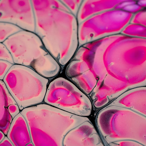 The Blueprint of Life: Exploring Biochemistry and Molecular Biology