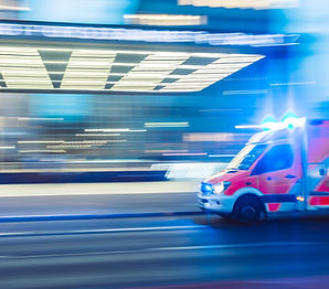 IPEK Critical Workforce New Zealand