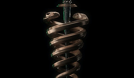 Image by SHREY DEEPRANJAN