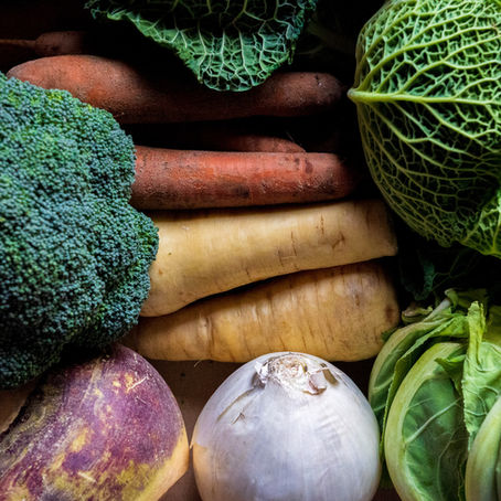 The Power of Postbiotics