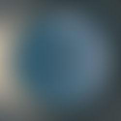 Senior Vice President of Marketing