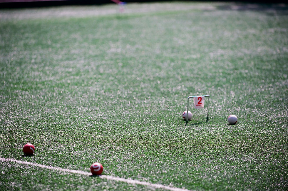 7th Matterdale Valley Wooddisse Cup - ‘Golf Croquet’ Championships