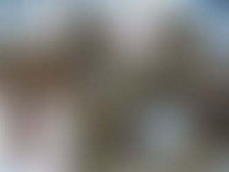 Box and Carton Manufacturers