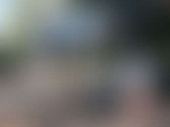 Tidbits, Q&A: Diesel Fuel & Gas Pricing, Venezuela, Ukraine 11/30/25