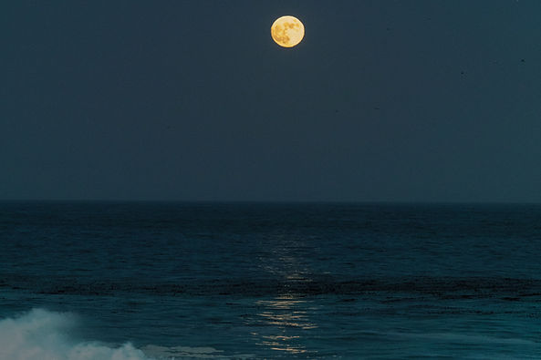 Image by Gabriel Tovar