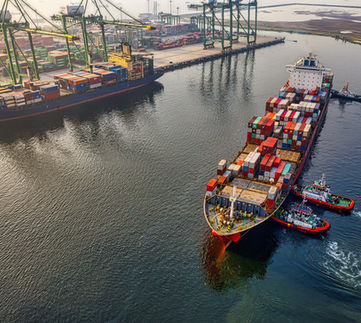 Shipping Maritime Logistics - Resilience in Culture Complex Environments RiCE, Security Awareness Fragile Environments SAFE Hostile Environment Awareness Training HEAT Security Risk Management Consultant SRMC