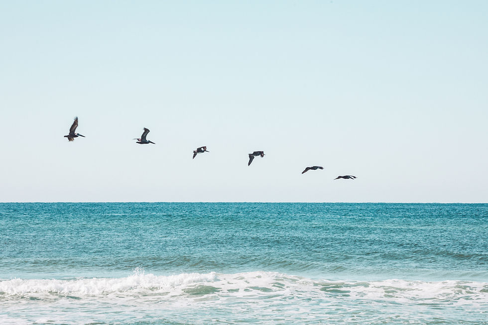Image by Taylor Deas-Melesh