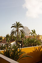 Image by alevision.co