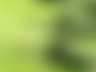 Ottawa awards contract to replace Canadian Armed Forces assault rifles