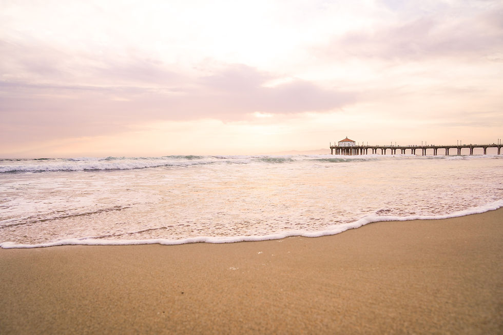 Image by Olivia Krueger