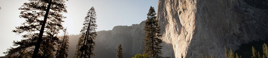 Image by Adam Kool