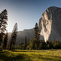 Image by Adam Kool