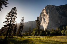 Image by Adam Kool