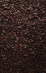 atış poligonu kafe