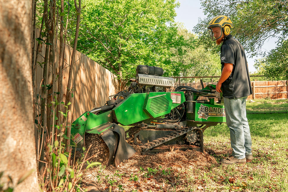 Operator using a stump grinder in a backyard