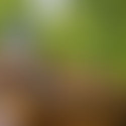 サビアンシンボル牡羊座1度