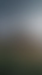 Where to Go & When to Go There