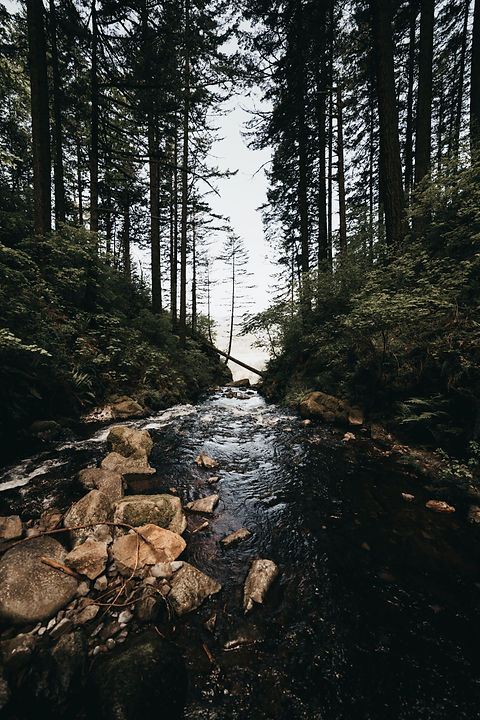 Image by Tyler Sultan