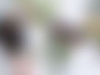 Yurtdışı seyahat ipuçları ve gezi önerileri