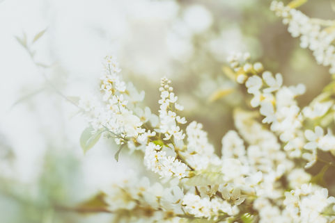 Image by Natalie Kinnear