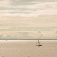 Image by Carlos Torres
