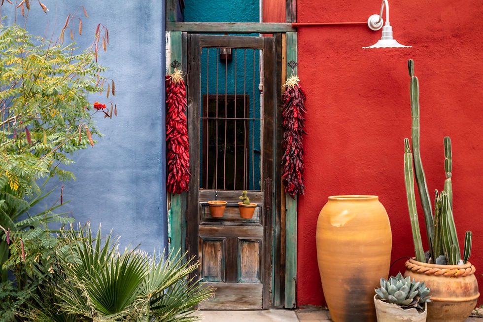 Some places just know how to hold color. Tucson does it better than most.