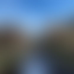 Edinburgh visitor levy starts 24 July 2026: what travelers will pay and when it applies