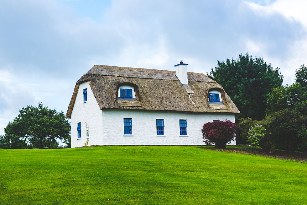 Grass Cutting