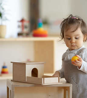 Image by Sebastian Pandelache