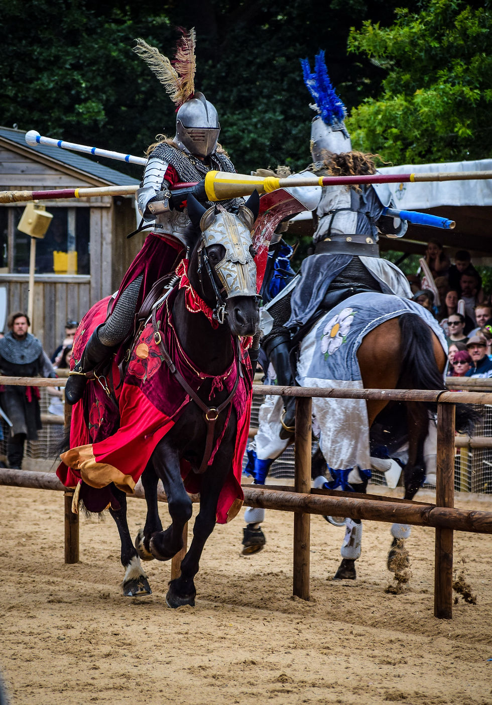 knights