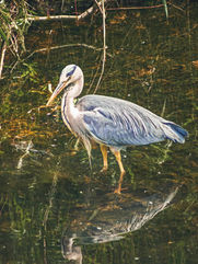 Image by K. Mitch Hodge