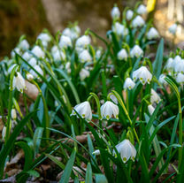 March Newsletter, The Tie Binder