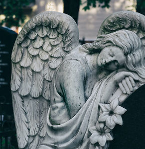 Image by Julia Kadel