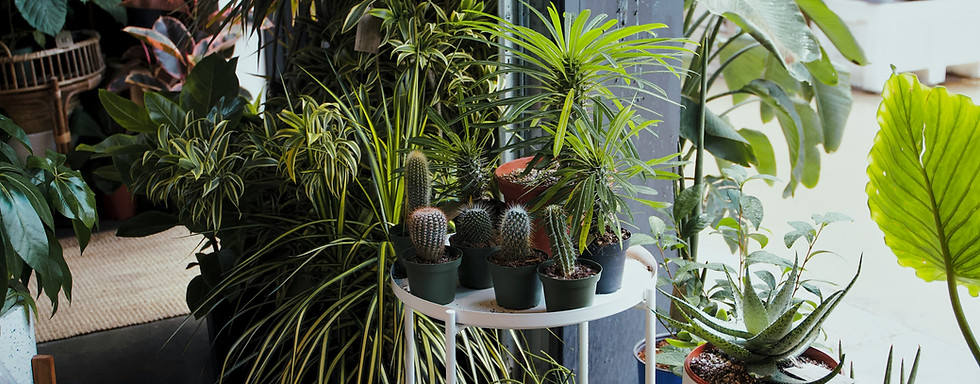 várias plantas de apartamento