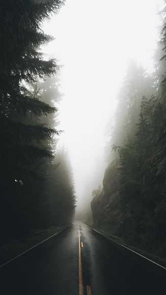 Image by Daniel Gonzalez