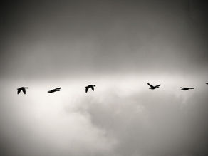 When Should Businesses Invest in Leadership Development Programs?