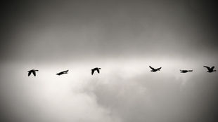 When Should Businesses Invest in Leadership Development Programs?