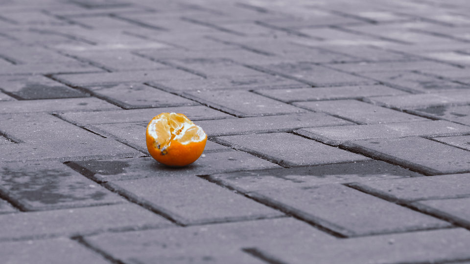 Image by Victor Dementiev