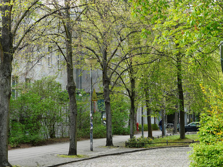 This Neighborhood Has The Most Street Trees In NYC, Study Shows