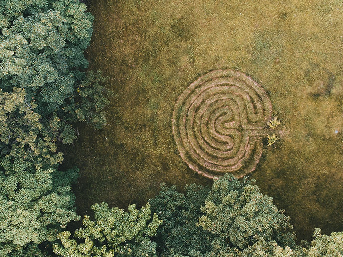 Image by Erik Mclean