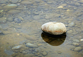 Image by John Cardamone