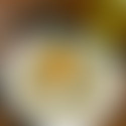 Best Frozen Food Supplier in Guwahati for Restaurants & Cafés