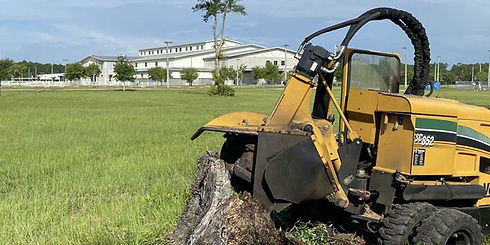 Image by Robert's Stump Grinding