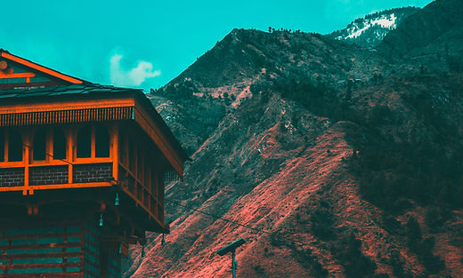 Image by ADITYA PRAKASH