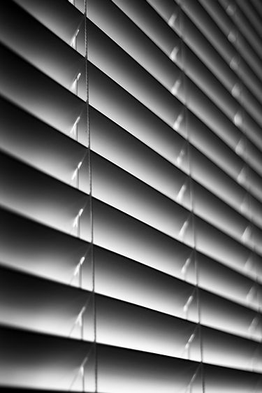 Image by Dan Stepinski