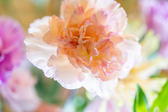 Image by Winston Chen