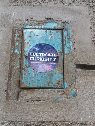 How Curiosity Can Transform Your Gratitude Practice