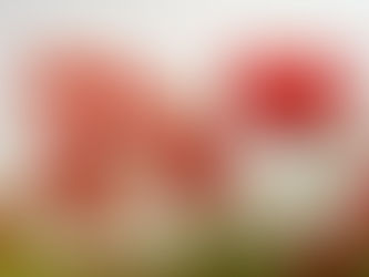 ANZAC DAY TRADING HOURS